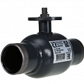 065N0187GR RJIP Premium Кран шаровой WW DN600 PN25 GF (приварной, под привод, С/П), Ридан