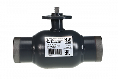 065N0187GR RJIP Premium Кран шаровой WW DN600 PN25 GF (приварной, под привод, С/П), Ридан